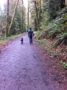 Rosie and my husband walk through Portland's Forest Park. 